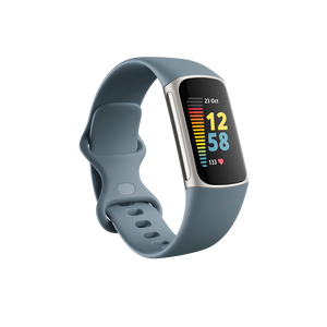 Fitbit Charge5 Steel Blue / Platinum Stainless Steel