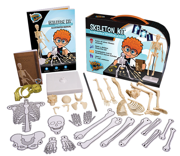 Mini Skeleton Kit HJ4204